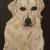 Chrissi's Dog von alaja ashton