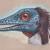 Archeopteryx Kopf von Remigius Sappa