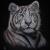 Weisser Tiger von cheyenne