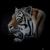 Tiger Portrait von cheyenne