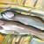 Zwei Fische auf Bambus von