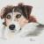 Mischling von Leon4