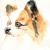 Spitz von Leon4