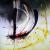 Zwischen Emotion und Kognition 2 von