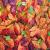 "Herbst" von