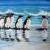 Pinguine am Strand von SKR