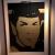 Spock von Palkovka