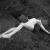 fallen von ricopic