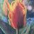 Tulpen von PeGeArt