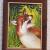 Fuchs von