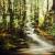 Romantische Landschaft von Yohanna