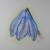 Scilla siberica von Remigius Sappa