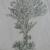 big tree von friedvoll64