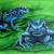 blauer Pfeilgiftfrosch von SKR