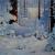 Winterlandschaft . von Alexandr Sultan