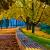 Herbststimmung am See von Frank Zinnemann