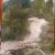 Wasserfall von Margit Erben-Skof