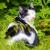 I love you too von Frank Zinnemann