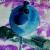 Crazy Blue Bird von Frank Zinnemann