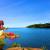 Nice Place to Life von Frank Zinnemann
