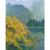 Herbst am Mummelsee von