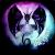 drache von the eyes
