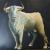 bull xxx von