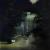 Ente_2 von achim