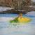 Loneliness von