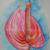 Anthurium von Remigius Sappa