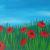 Mohn von