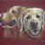 Best Friends 3 von Wolf Werner