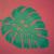 Monstera von Martypants