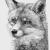 Fuchs von