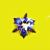 STAR T1 von SK