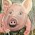 Nochmal Schwein gehabt von