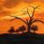 Sunset von Gwydyon-Art