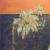Blume, exotisch von MCMLXXI