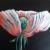 Rosa Mohnblüte von Mea Meike Dörschuck