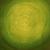 Green von Mensch Mi
