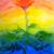 Regenbogenrose von