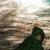 "Waking The Witch" von