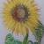 Sonnenblume von Mea Meike Dörschuck