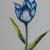 Blaue Tulpe von Mea Meike Dörschuck