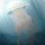 Jellyfish von yes