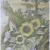 Sonnenblumen von Thomas Krause