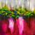 Flower power von Liz