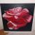 red rose von PaintingFlower