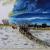 Winter-Landschaft um Uetze von Angie