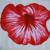 Hibiskusblüte von